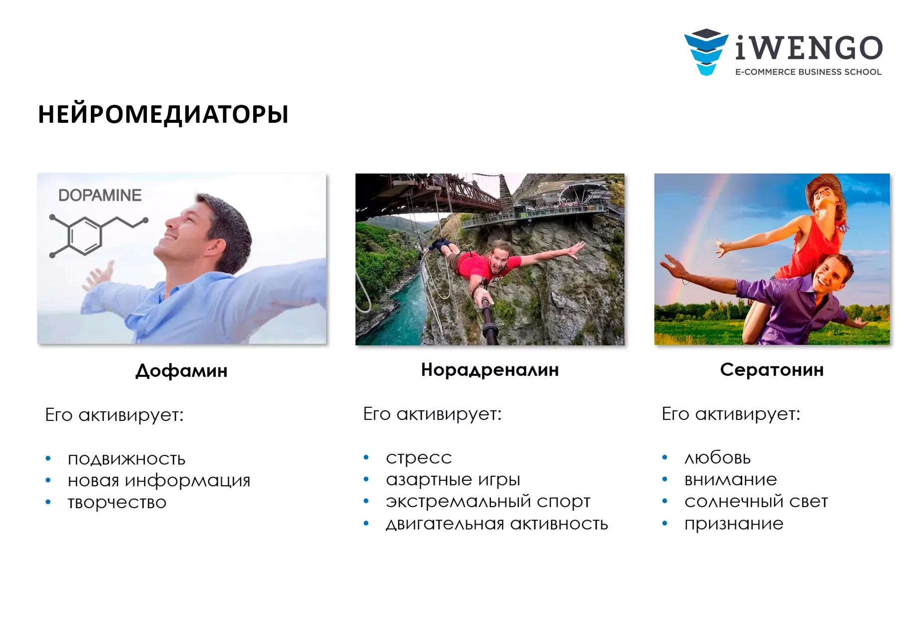 Курс «Нейромаркетинг в омниканальной рознице»